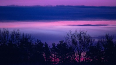 Облака Лесной пейзаж Сиренево фиолетовый Безмятежный Восход Закат Деревья 5k