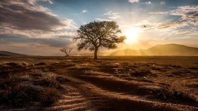 Солнечные лучи Пейзаж