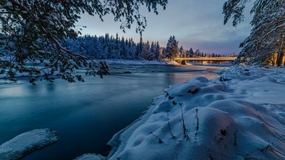 Реки леса Финляндия 4k