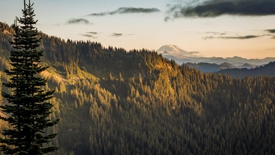 Вид на гору Адамс Издалека