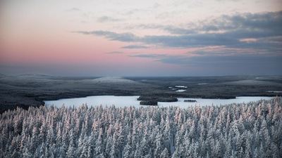 Заснеженные сосны 5к