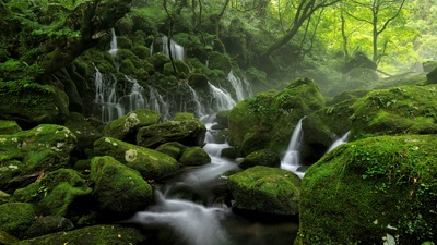 Водяной пар Туман Зелень 8k