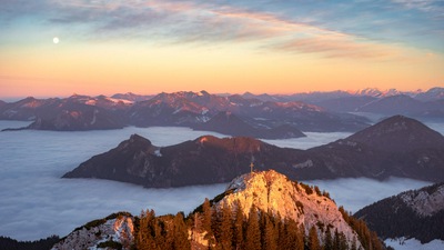 Коричнево-Зеленые Деревья на горах 8k