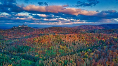 Осенние листья в Тюрингенском лесу